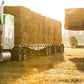 Blue Mountain Hay High-Altitude Hay - Organic Alfalfa, 25lb - High Protein, Fiber & Mineral-Rich - Soft, Leafy, High Leaf Retention - Ideal for Goats, Rabbits, Guinea Pigs & Other Small Animals
