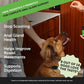 Dog Scoot Stopper - Complete Anal Gland Support with Fiber, Prebiotics & Probiotics - No Scoot for Dogs (90 ct)