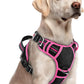 rabbitgoo Dog Harness for Large Dogs, No Pull Pet Vest with 3 Buckles, Adjustable Soft Padded Pet Harness with Easy Control Handle and Reflective Strips, Black & Rose Pink, L