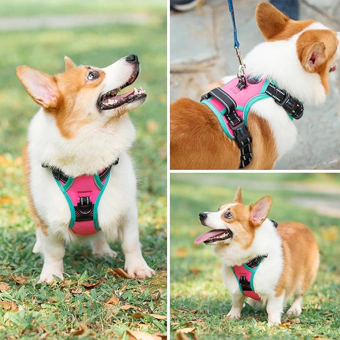PHOEPET 2019 Upgraded No Pull Dog Harness, Reflective Adjustable Vest, with a Training Handle + 2 Metal Leash Hooks+ 3 Snap Buckles +4 Slide Buckles(L, Pink)