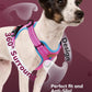 MIDOG No-Pull Dog Harness | Adjustable & Reflective Pet Harness Leash Set for Small Medium Large Dogs Walking, Training| No Choke, Front Clip, Soft Padded Vest with Easy Control Handle - Pink, M