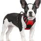 rabbitgoo Dog Harness No Pull with 2 Leash Clips, Adjustable Soft Padded, Reflective Oxford No Choke Pet Vest with Easy Control Handle for Small Dogs, Red, S