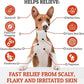 Truseb | Benzoyl Peroxide 3% Shampoo for Dogs,Cats and Horses (3% Benzoyl Peroxide Shampoo, 12 oz)