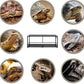 REPTI ZOO 67 Gallon Reptile Large Terrarium Newly Upgraded All Glass 48" x 18" x 18" Double Hinge Door with Top Ventilation Reptile Terrarium(Knock-Down)