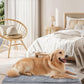 OhGeni Orthopedic Waterproof & Machine Washable Dog Bed for Large Pets, Suitable for Crates, 25D Egg Crate Foam, Non-Slip Bottom & Removable Cover, Flannel Fabric, 41 Inches(Gray)