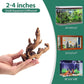 WDEFUN Natural Driftwood for Aquarium Decor, 10-Piece 2''-5'' Small Driftwood for Decorations on Fish Tank, Reptiles Bearded Dragon Accessories or Air Plants