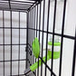 Choco Nose Patented No-Drip Dog Water Bottle/Feeder for Dogs/Cats and Other Small-Medium Sized Animals - for Cages, Crates or Wall Mount. 11.2 Oz. Mess Free Leak-Proof Nozzle 16mm, Apple Green (H590)