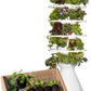 Farmstand Starter Kit with Glow Rings and 36 Seedling Credits | Large Hydroponic Growing System Kit | Vertical Garden Planter Tower | 6ft 7in Tall