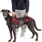 Doggie Stylz Multi-Functional Full-Body Lifting Dog Harness Vest, Designed for Front-Only, Rear-Only or Full-Body Dog Lifting. Please Measure Your Before Ordering.