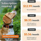 Weenect Dog XT - New GPS Collar for Dogs | XL Antenna | Waterproof | Ultra-Durable Integrated Julius-K9 Collar | Subscription Required