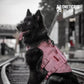 OneTigris Tactical Dog Harness for Small Dog, No Pull Small Dog Vest Harness with Handles Breathable Military Dogs Molle Vests for Walking Hiking Training (Pink, Medium)