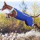 ROZKITCH Dog Surgery Leg Sleeve Rear Legs, Male Female Pet Prevent Licking Wound Elbow Knee Protector, Dog Recovery Suit Cone Collar Alternative Pants Shirt for Wound Heal Wrap Blue L