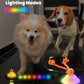 Interactive Dog Toys, Automatic Moving and Rolling LED Light Up Dogs Ball with Rope, Motion-Activated Wicked Ball for Small Medium Pup, Stimulation Toy for Boredom Relief
