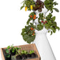 Farmstand Starter Kit + 24 Seedling Credit | Medium Hydroponic Growing System Kit | Self-Watering Outdoor Vertical Garden Planter Tower | 4ft 10in | Made in USA