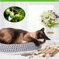 TINDTOP Catnip Chew Toys for Cats, 12 Pack Natural Silvervine Sticks for Kittens Teeth Cleaning, Matatabi Dental Care, Increase Appetite, Calm Cat Anxiety and Stress, Aggressive Chewers Cat Dental Toy