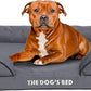 The Dog’s Bed, Orthopedic Standard Foam Waterproof Dog Bed with Standard Support, Large Grey with Black Trim, Waterproof, Supportive Dog Bed with Replaceable Covers, Veterinary Approved