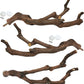 kathson Natural Parrot Perch Bird Stand Pole Wild Grape Stick Paw Grinding Fork Parakeet Climbing Standing Branches Toy Chewable Cage Accessories for Small Budgies Cockatiels Lovebirds 3PCS