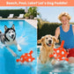 Dog Balls Toy, Durable Soccer Ball with Straps, Interactive Dog Toys, Water Fetch Ball for Tug of War, Herding, Dog Toys to Keep Them Busy – Dog Birthday Gift for Medium Large, 8 Inch