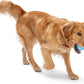 WEST PAW Boundr Ball Dog Fetch Toy – Bouncing Toys for Dogs, Fetch, Catch, Chewing, Play – Floatable, Recyclable Balls – Small Aqua Blue/Dandelion Yellow 2-Pack