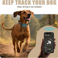 AirTag Dog Collar - Leather Dog Collar with Airtag Holder | IP68 Waterproof AirTag Holder with Metal Buckle, Comfortable GPS Dog Collars Tracker for Medium Large Dogs (Black, M)