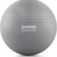 Exercise Ball for Workouts, Anti-Burst and Slip Resistant, Swiss Yoga Ball for Pregnancy, Stability, Fitness and Physical Therapy, 4 Sizes, with Pump