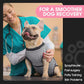 FUAMEY Dog Recovery Suit Male,Dogs Surgery Neuter Suits Puppy Spay Shirts for Female Protect Dog's Skin Anti Licking Abdominal Wounds Doggie Onesie Pet Bodysuit Alternative to Cone Gray Stripes L