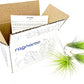 Air Plants - Tillandsia Andreana, Large 4-6" - 3ct - Live Arrival Gauranteed - House Plants for Home Decor & Gift