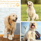 Dog Shoes, Dog Sandals for Hot Pavement, Non-Slip Waterproof Dog Booties for Winter Snowy Day and Summer, Adjustable Straps Easy-Clean Beach Outdoor Pet Boots Rugged Sole-4Pcs Beige