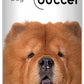 The Blissful Dog Chow Nose Butter for Dry, Cracked Skin, Lick-Safe Dog Nose Balm with Moisturizing Shea Butter, Almond, Olive, and Essential Oils, Pet Supplies, Uncented, 0.50 oz.