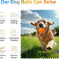 Interactive Dog Toys Ball, Automatic Moving, Bouncing Chew Toys, E-TPU Material, Suitable for Large and Medium-Sized Dogs, Used for Boredom Relief and Daily Training, USB Rechargeable