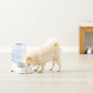 Amazon Basics Gravity Pet Water Dispenser for Cat, Dog, 1 gallon Capacity, Small, Gray