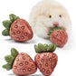 TEEWY 4PCS Hamster Chew Toys, Guinea Pig Chew Toys for Teeth with Natural Vegetables and Timothy Grass, Chinchilla Toys,Dental Care for Rats/Guinea Pigs/Hamsters and Gerbil, Strawberry-Shape