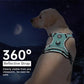 IVY&LANE No Pull Dog Harness with Leash Set, Reflective No Choke Pet Vest,Adjustable Oxford Dog Vest Harness with Easy Control Handle for Large Dogs (Turquoise,L)