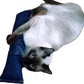 15" Cat Kicker Toy with Refillable Catnip Pocket (Denim) - Filled with Premium Canadian Catnip