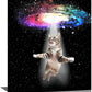 Funny Cat Wall Art Canvas Galaxy Wall Decor Prints Framed Painting Animal Pictures Gifts Artwork for Bathroom Living Dining Kitchen 12"x16"