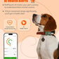 GlocalMe PetPhone for Dog and Cat, Support Play Music and Two-Way Call, Pet Community and AI Health Alerts, Real Time Tracking and Virtual Fence, Unlimited Range Pet GPS Tracker (Green)