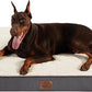 Bedsure XXL Dog Bed for Large Dogs - Orthopedic Flat Giant Pet Beds with Removable Washable Cover, Jumbo Egg Crate Foam Mat, Suitable for Pet Up to 150 lbs