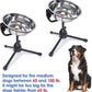 2 Pack Elevated Dog Bowls with Adjustable Metal Stand,Large Size for Dogs Between 60 and 100 lbs, 0.8 Gal 3 Liter,Stainless Steel Dog Food Water Bowl,Height Adjustable Non-Slip Raised Dog Bowl Set