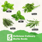 5 Herb Seeds Garden Starter Kit with Complete Planting Kit & Wooden Flower Box, Growing into Basil, Parsley, Rosemary, Thyme, Mint for Kitchen Windowsill Herb Garden DIY