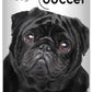 The Blissful Dog Black Pug Nose Butter for Dry, Cracked Skin, Lick-Safe Dog Nose Balm with Moisturizing Shea Butter, Almond, Olive, and Essential Oils, Pet Supplies, Uncented, 0.50 oz.