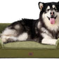 EHEYCIGA Orthopedic XXL Dog Bed for Extra Large Dogs, Waterproof Memory Foam Couch Bed with Sides, Non-Slip Bottom, Washable Removable Cover,Olive Green
