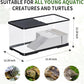 (Tank + Light + Filter + Filter Balls) Turtle Tank Kit, Turtle Tank Starter Kit,Bottom Drainage, Multi-Function Areas for Turtles, Crabs,Fishes, Amphibians,Reptiles.(21.65 × 12.28 × 12.28 Inch)