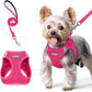 rabbitgoo Dog Harness Small Sized and Leash Set, Step in Soft Light Puppy Vest, Breathable Mesh Pet Harness, Reflective for Safe Easy Walking, Rose Red XS