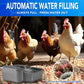 Automatic Water Dispenser for Dogs 1 Gallon, Large Dog Water Bowl Dispenser for Outdoor, Pet Water Bowl Feeder for Livestock, Dog Waterer for 3/4" Faucet, Easy to Install, Large Drinking Area, Gray