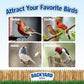 Backyard Seeds Songbird Blend Mixed Bird Seed - Attracts Bluebirds, Cardinals, Chickadees (7 Pounds)