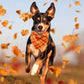 Abbylike 50 Pcs Fall Plaid Dog Bandanas Bulk Autumn Bandanas for Dogs Triangle Kerchief Bibs Scarf for Small Medium Large Pets Thanksgiving Costume Accessories, 25 Styles (31.5 x 21.7 x 21.7 Inch)