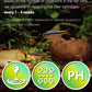 Medium Aquarium Filter Cartridges Compatible with Tetra Whisper Bio-Bag Filters, Fish Turtle Tank Assembled Filters for Tetra Whisper Power Filter 10i IQ10 PF10 & ReptoFilter (MEDIUM-12 Pack)