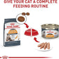 Royal Canin Feline Care Nutrition Hair & Skin Care Loaf in Sauce Canned Cat Food, 5.1 oz can (24-count)