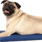 Dog Cooling Pad Dog Cooling Products Hydro Cooling Mat (18"x10.5") (Mini)