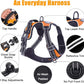 PoyPet No Pull Dog Harness, Reflective Comfortable Vest Harness with Front & Back 2 Leash Attachments and Easy Control Handle Adjustable Soft Padded Pet Vest for Small to Large Dogs (Orange,S)